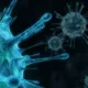 Coronovirus