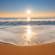 northern beaches