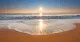 northern beaches