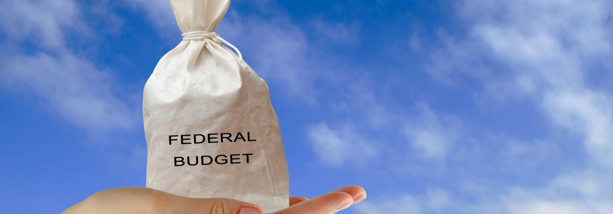 federal budget